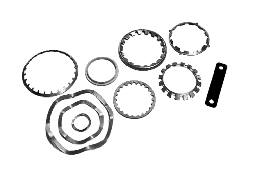 DSC0275-copy__1_-removebg-preview